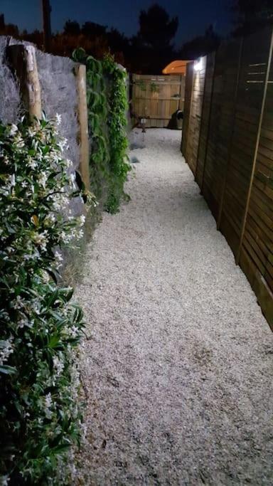Le Chai De L'Ocean - Studio Avec Jardin Et Terrasse - Plage 300 M Soulac-sur-Mer Eksteriør billede