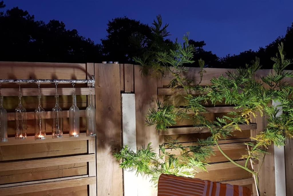Le Chai De L'Ocean - Studio Avec Jardin Et Terrasse - Plage 300 M Soulac-sur-Mer Eksteriør billede